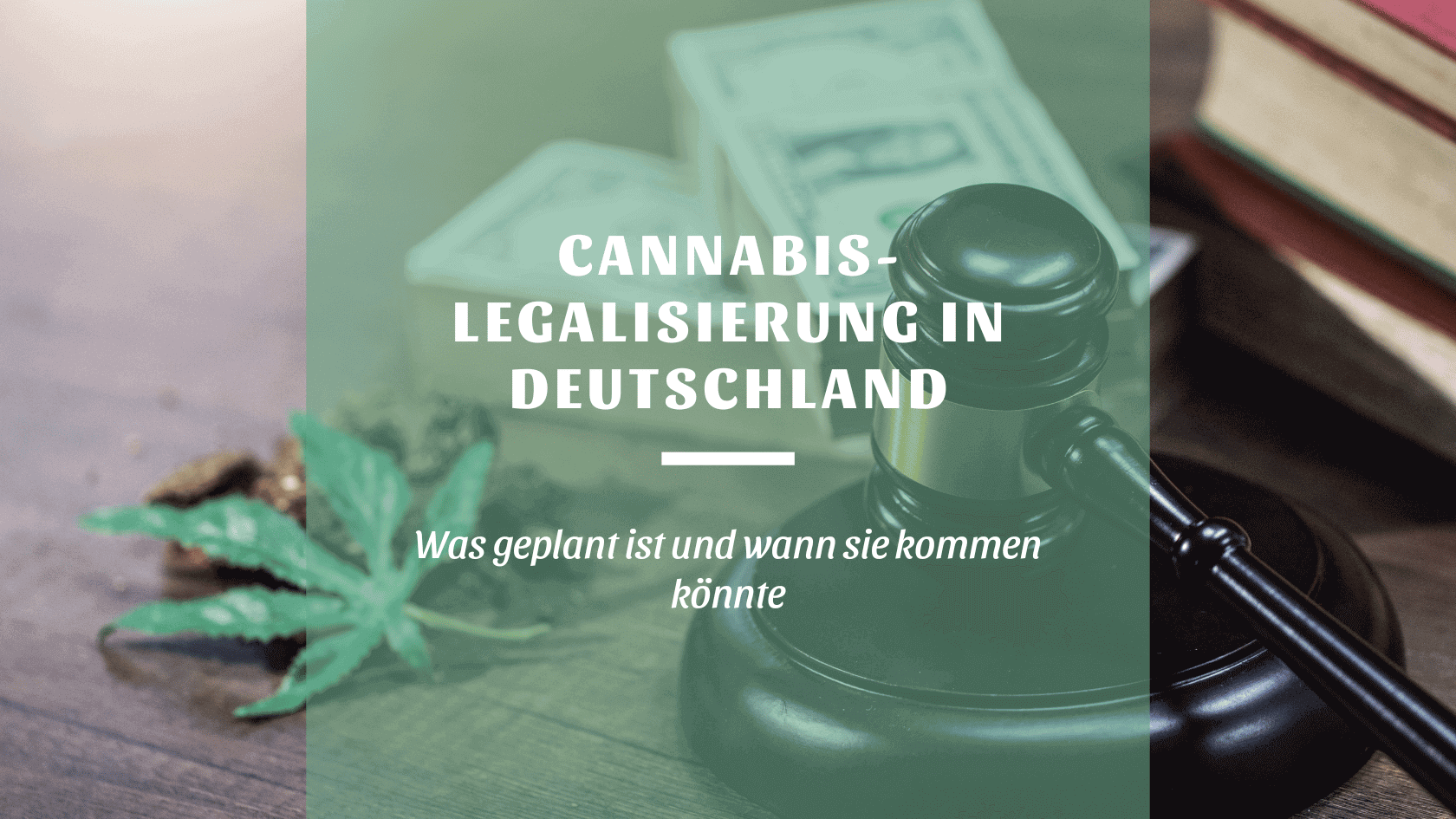 Cannabis-Legalisierung: Was Sie Ab Sofort Wissen Sollten